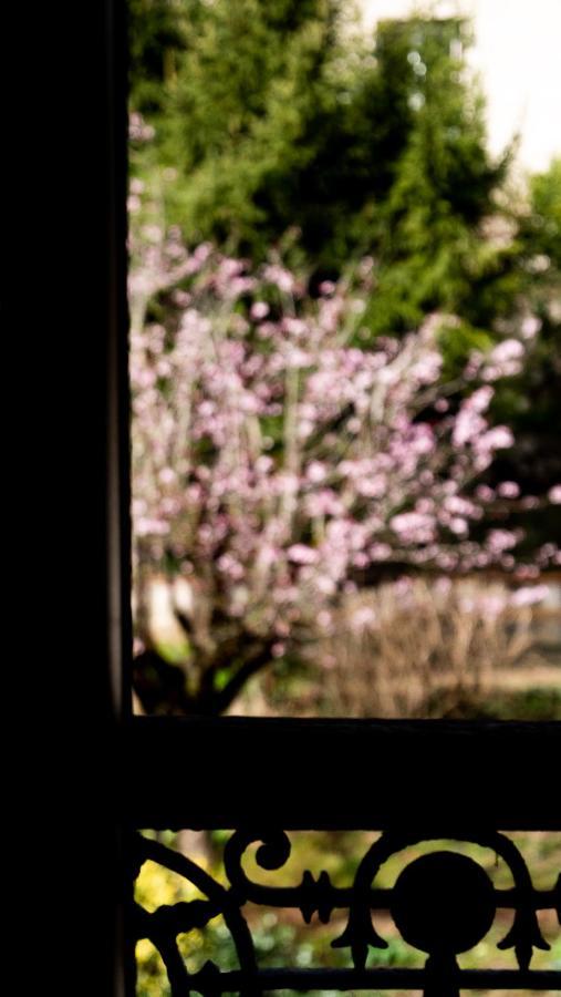 Hotel Zadig Aurillac Luaran gambar